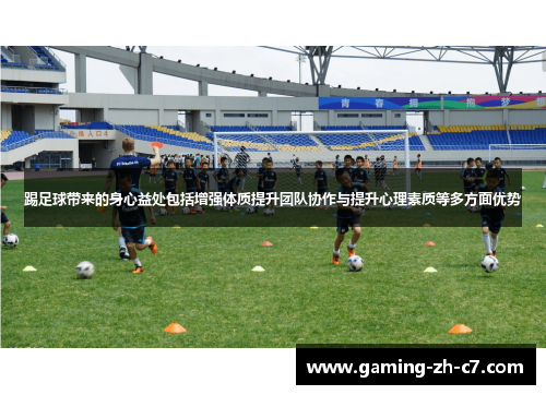 踢足球带来的身心益处包括增强体质提升团队协作与提升心理素质等多方面优势