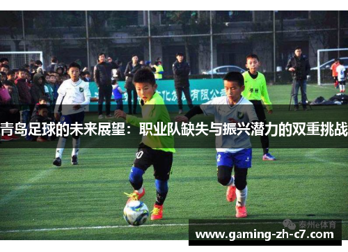 青岛足球的未来展望：职业队缺失与振兴潜力的双重挑战